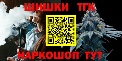 соль ск Можга