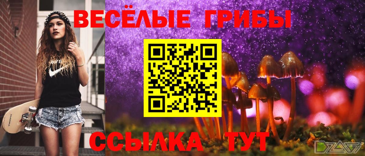 Псилоцибиновые грибы мицелий  Вход с VPN  Шахты  даркнет сайт  Галлюциногенные грибы Cubensis 